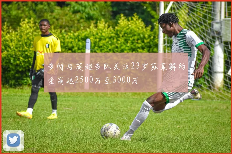 多特与英超多队关注23岁苏莱解约金高达2500万至3000万